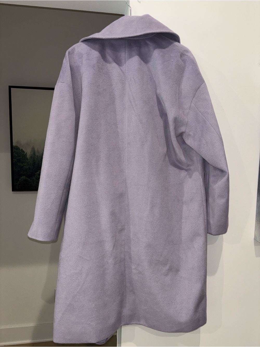 Coat - Picture 4 of 4